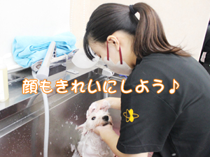 １年生、カットもがんばっています！